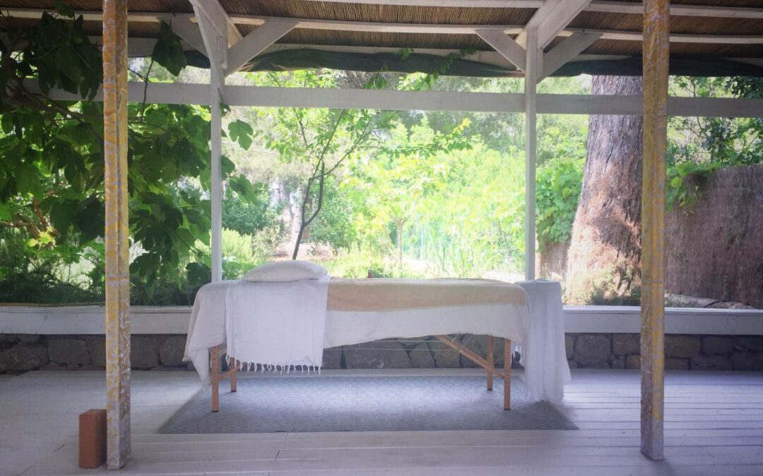 Creating a Relaxing Oasis for Spas with Canopies
